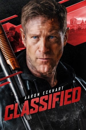 Classified 2024 Hindi Subbed WEBRip 720p