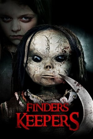 Finders Keepers (2017) Hindi Dual Audio 480p BluRay 350MB