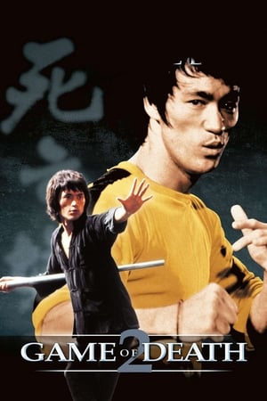 Game of Death II (1981) Dual Audio Hindi 480p BluRay 300MB