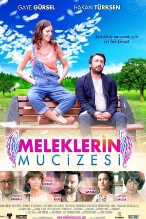 Meleklerin mucizesi (2014) Hindi Dual Audio 480p Web-DL 280MB